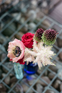 Close-up of flowers blooming outdoors