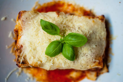 Directly above shot of lasagna served on plate