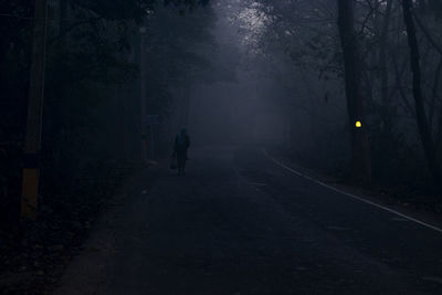 Rear view of person walking on street at night