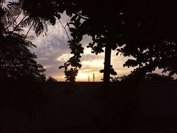 Silhouette of trees against sky at sunset