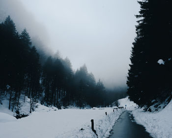 Trees on snow covered landscape against sky