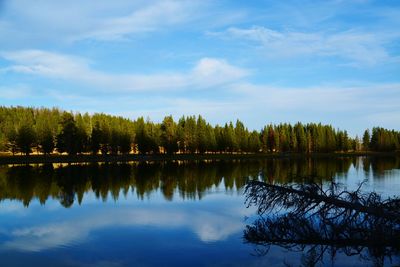 Scenic view of lake by trees against sky