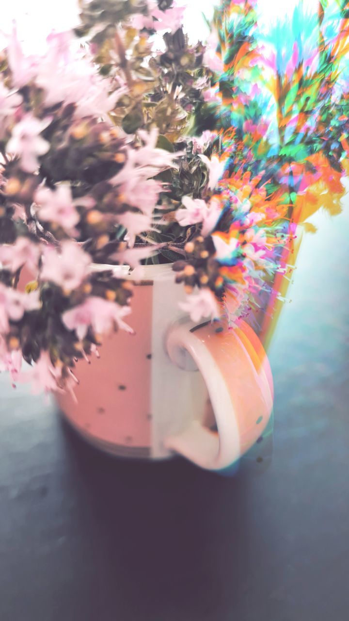 CLOSE-UP OF PINK FLOWER FLOATING IN WATER