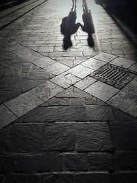 Shadow of person on road