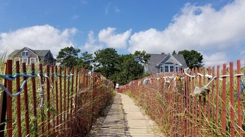 Panoramic shot of plants growing by building against sky