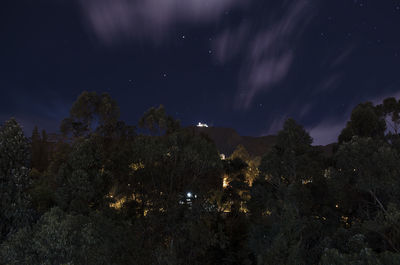 Low angle view of tree against star field