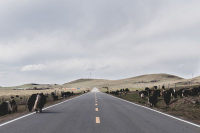 Empty road along landscape