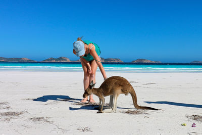 Full length of woman with kangaroo at beach against clear blue sky