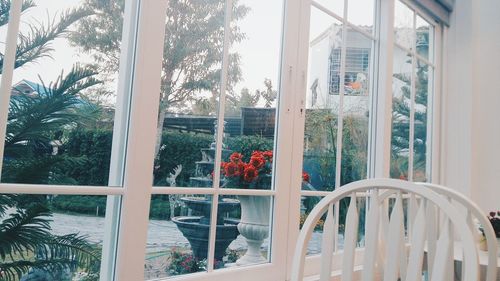 Potted plants on window sill