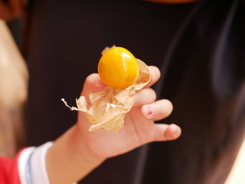 Juicy ripe cape gooseberry fruit, physalis peruviana, goldenberry, poha, in a baby's hand