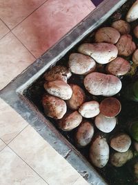 High angle view of food on floor