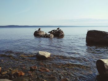 Rocks in sea against sky