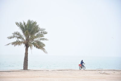 Man riding bicycle on beach against clear sky
