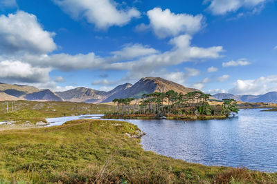 Landscape with lake from pines island viewpoint in galway county, ireland