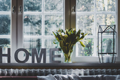 Close-up of potted plant on window sill at home