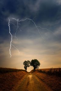 Scenic view of tree on field against sky