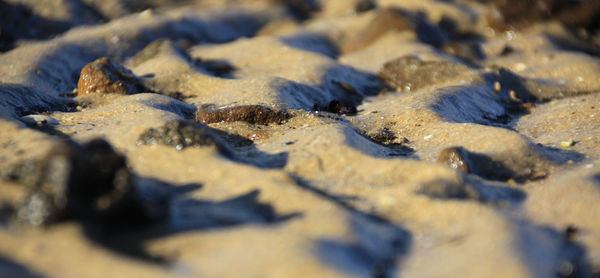 Close-up of sand on beach