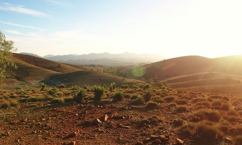 Scenic view of landscape against sky