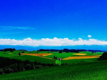 Scenic view of field against clear sky