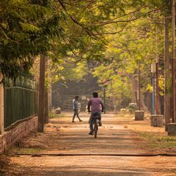 Rear view of people walking on footpath in forest