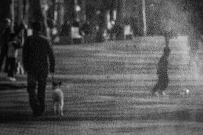 Man walking with dog in city