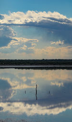 View of birds flying over lake