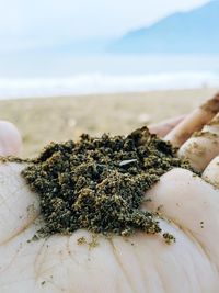 Close-up of sand on beach