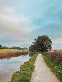 Footpath amidst plants against sky
