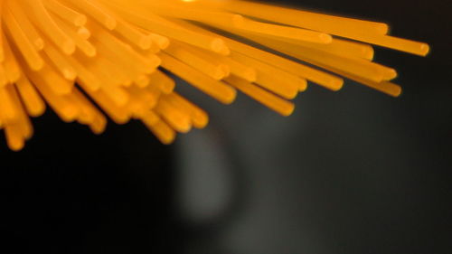 Close-up of yellow flower