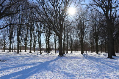 Bare trees on snow covered field against sky