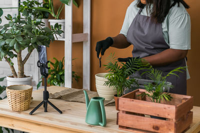 Midsection of woman picking potted plant