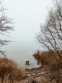 Scenic view of lake against clear sky