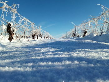 Scenic view of snow covered field against sky