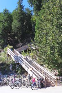 Bicycle on footbridge against trees