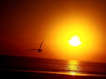 Silhouette of bird flying over sea during sunset