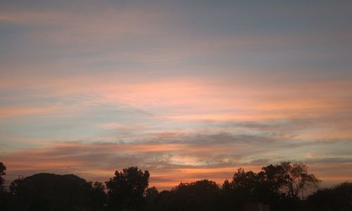 Low angle view of silhouette trees against sky at sunset