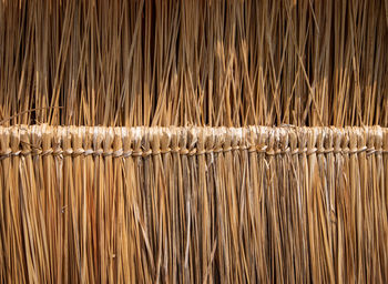 Full frame shot of dried plants