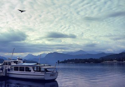 Boats moored at harbor against sky