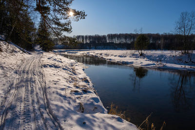 Snow covered plants by lake against sky