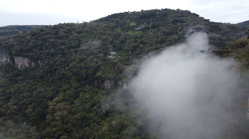 Scenic view of trees and mountains against sky