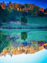 Reflection of trees in lake against sky