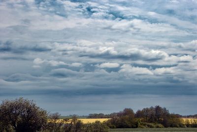 Scenic view of trees against sky