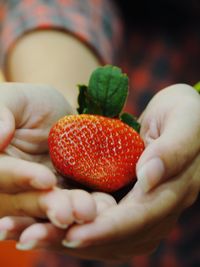 Close-up of hand holding strawberries