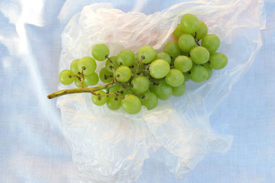 Directly above shot of grapes on plastic