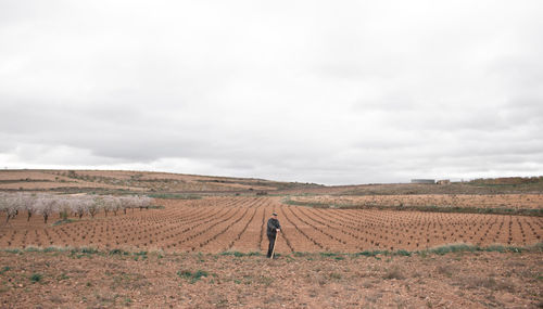 Old farmer is posing with his hoe in front of some wine fields. person