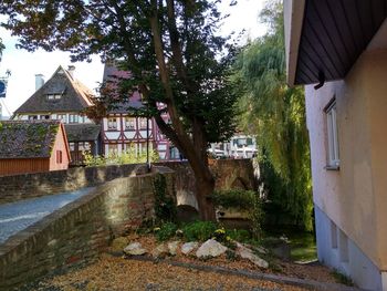 Road amidst trees and buildings in city