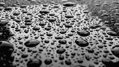 Close-up of waterdrops on surface