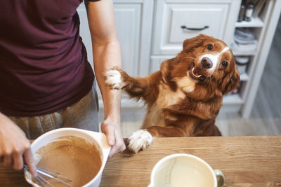 Man and dog together at home in kitchen. 