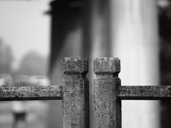 Close-up of rusty metal fence