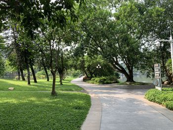 Footpath amidst trees in park